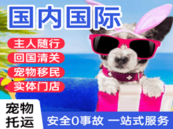 平潭机场空运国际宠物托运 【国